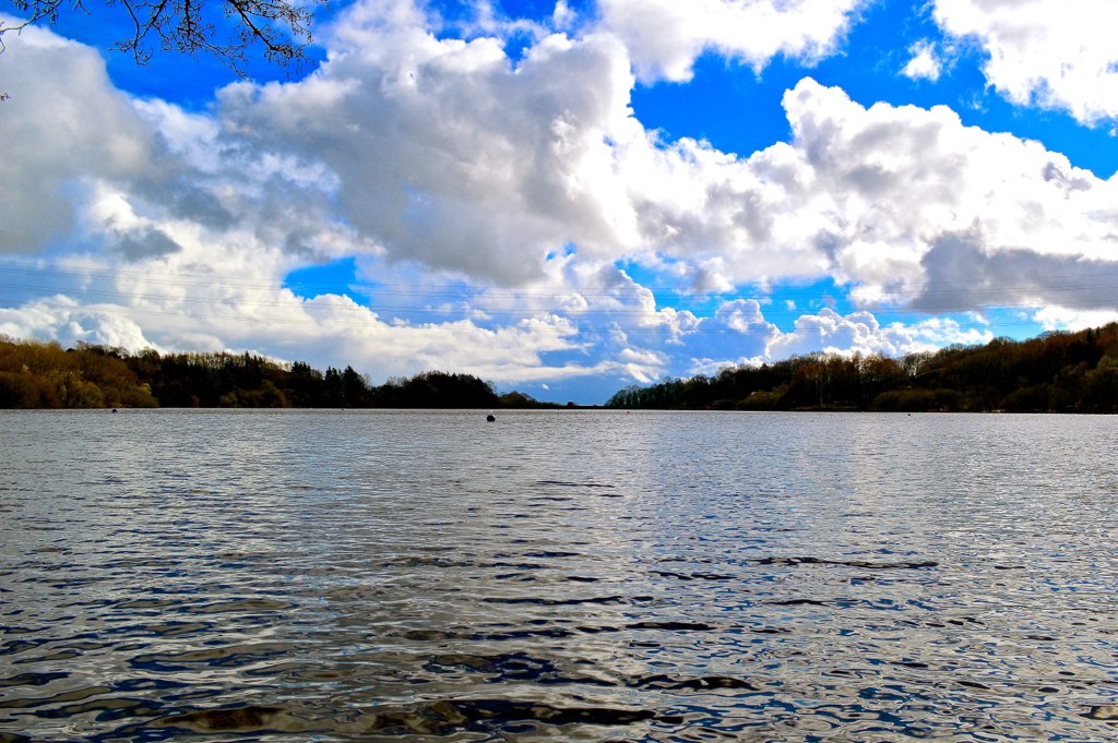 view of water with clouds above trees and sky