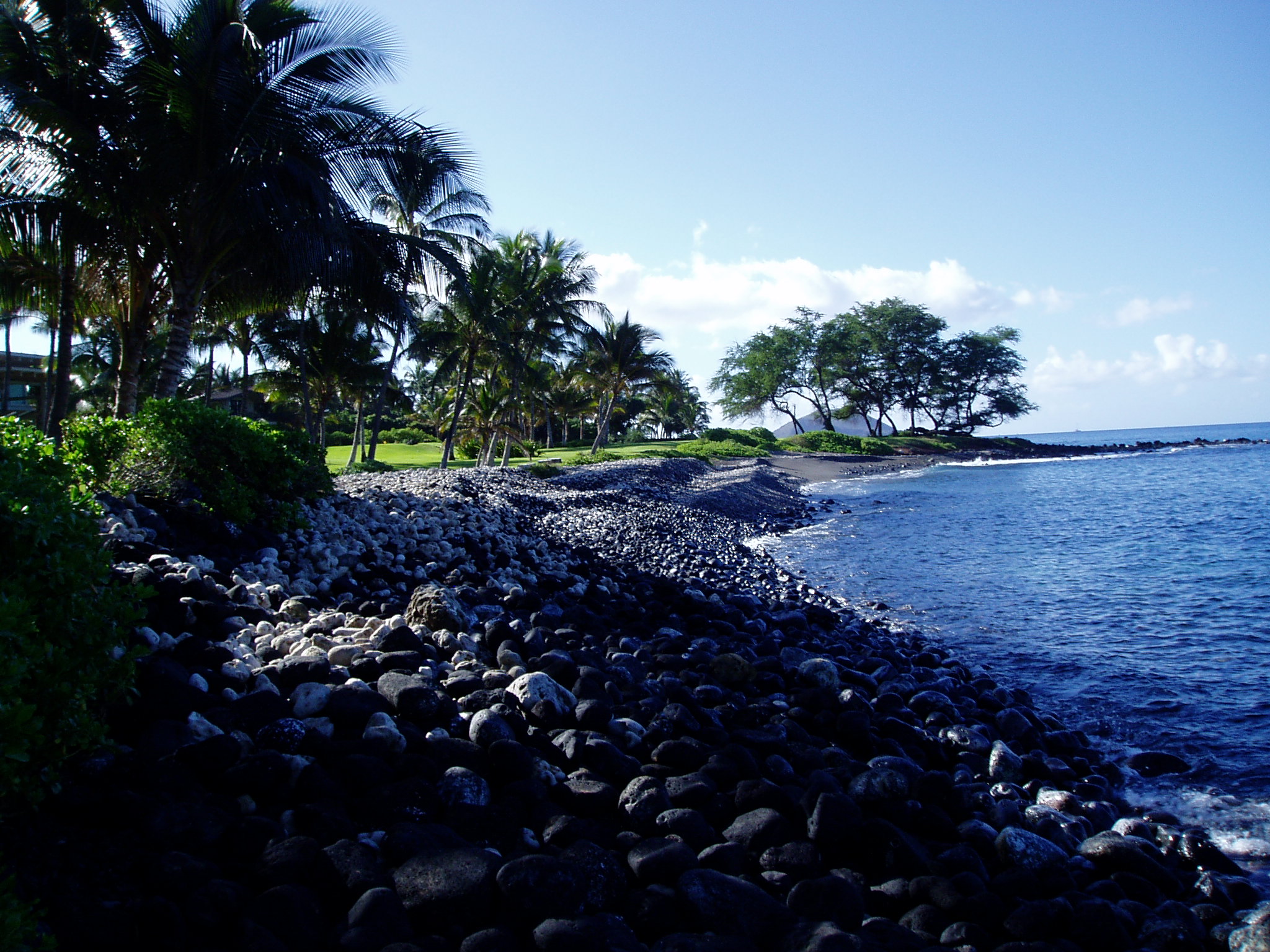 a large body of water surrounded by trees