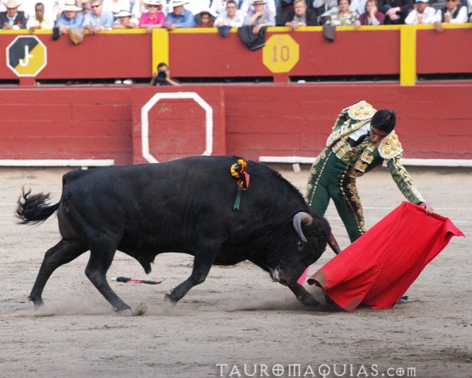 a man trying to grab the neck of another person from a bull