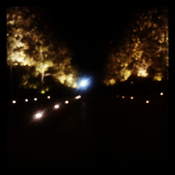 headlights in the dark of night on a road