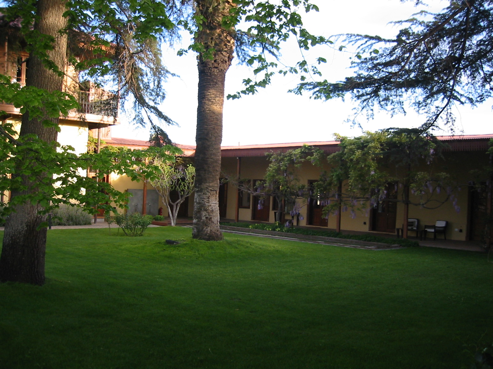 the grass is lush and bright as sunlight shines through the trees