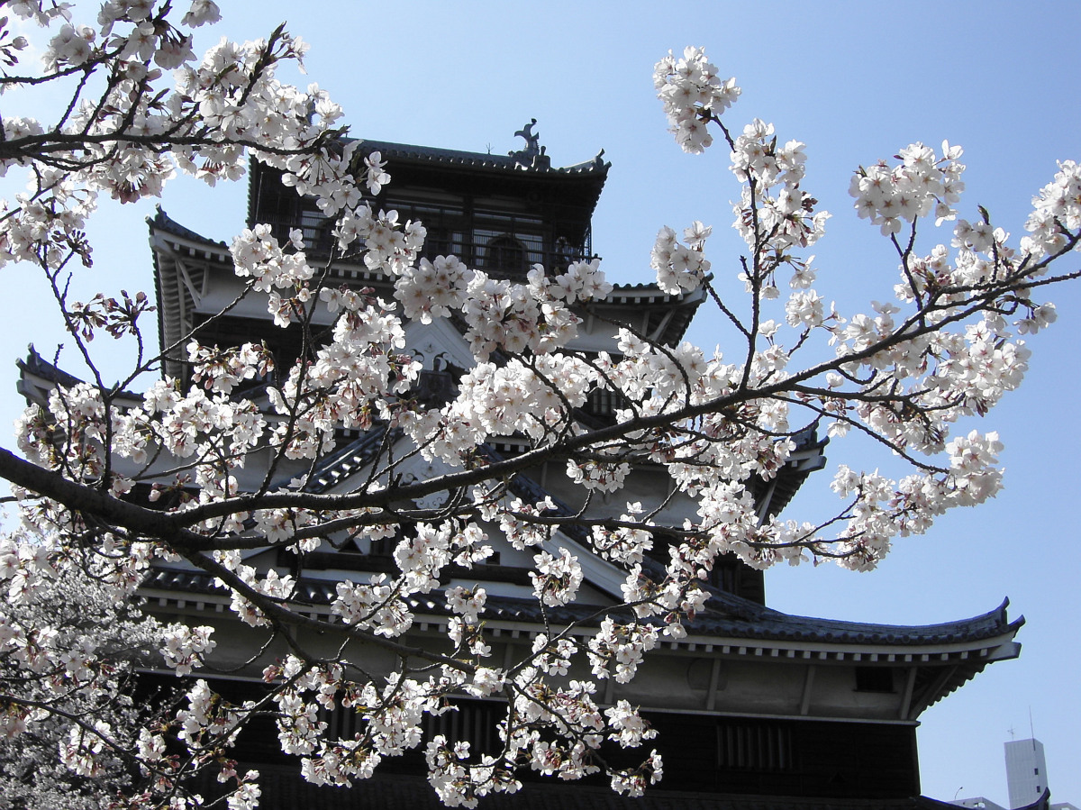 there is an oriental building that has white flowers in it