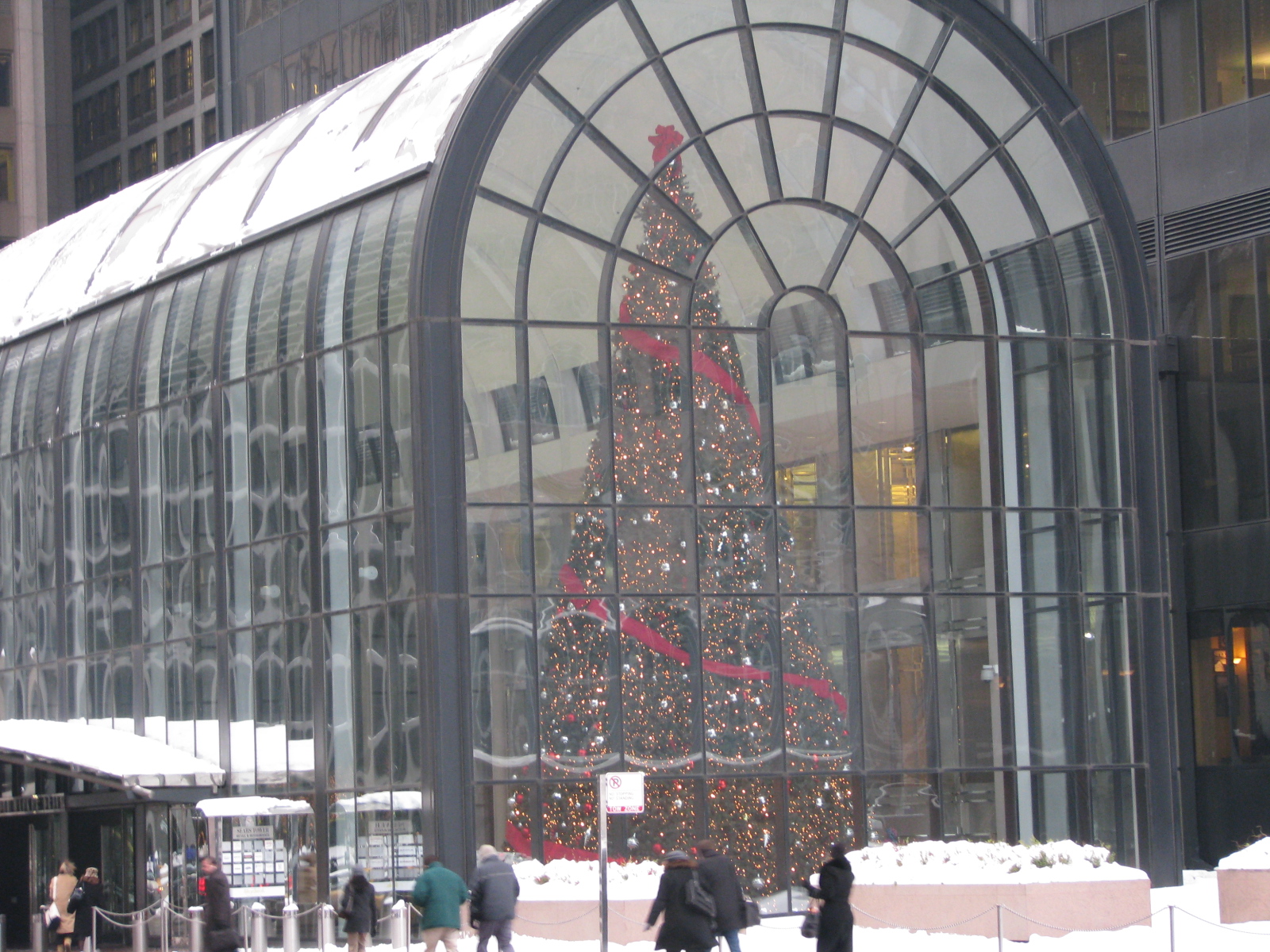 a large, ornate christmas tree is reflected in a glass window