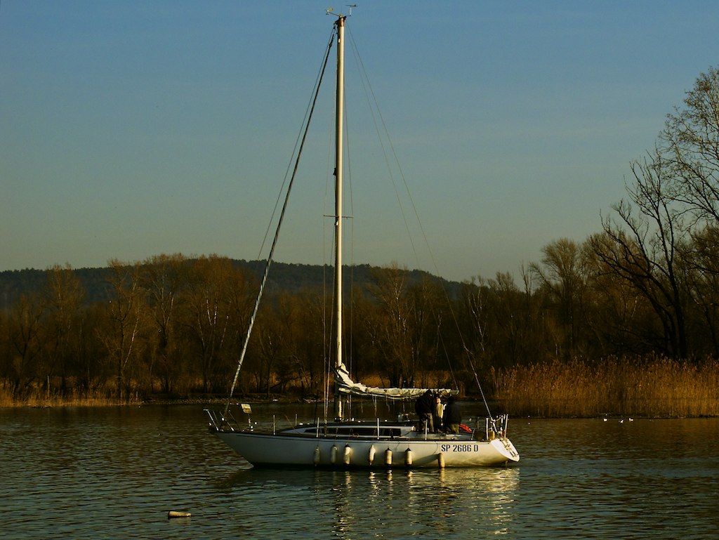 a sail boat in a lake near trees