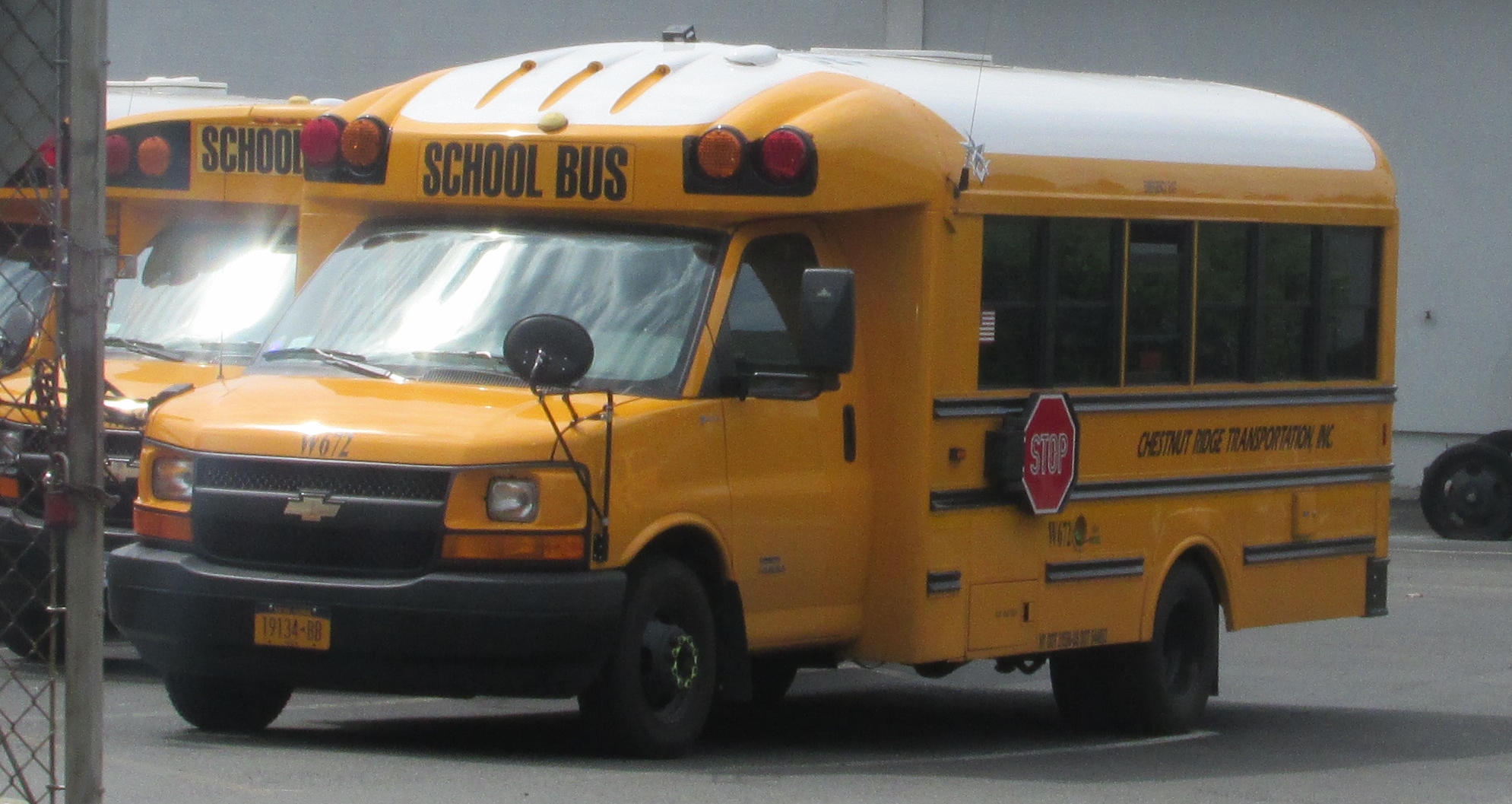 two school buses parked near each other in a parking lot