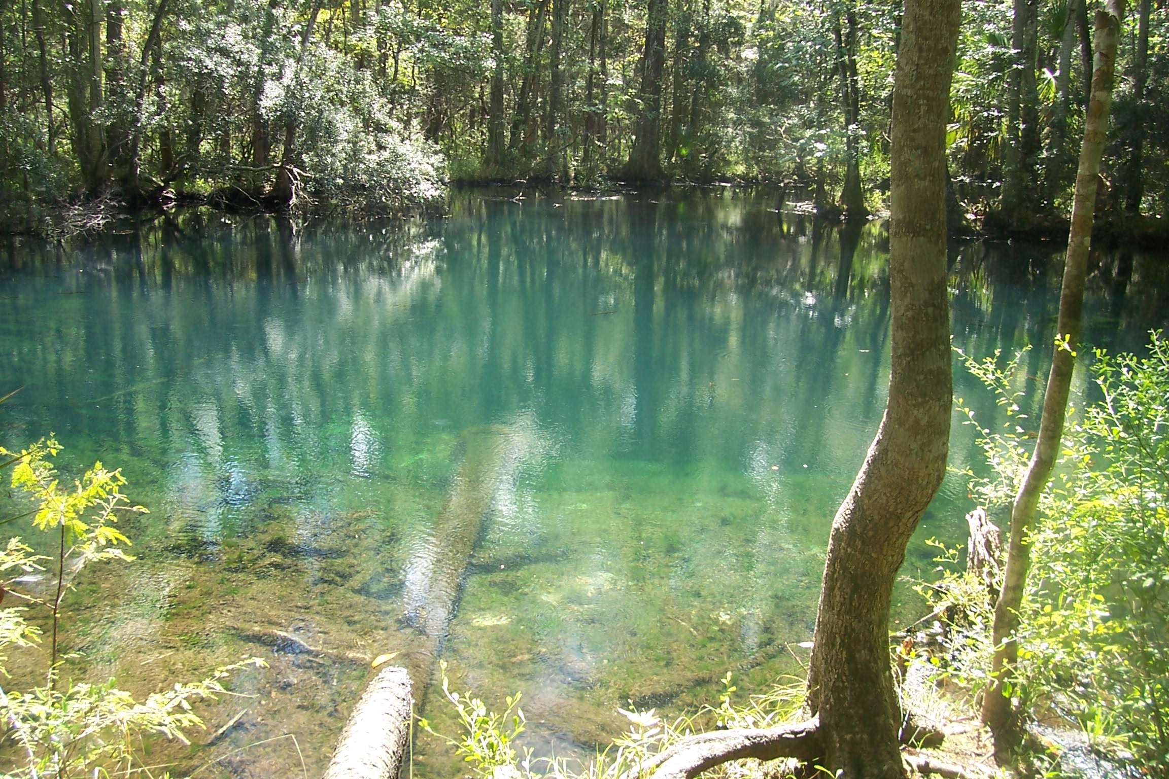 the water is so clear and crystal that it appears like blue