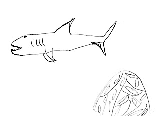 shark and plant life coloring page