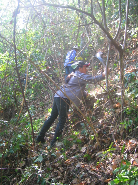 a couple of people on top of a leaf covered hillside