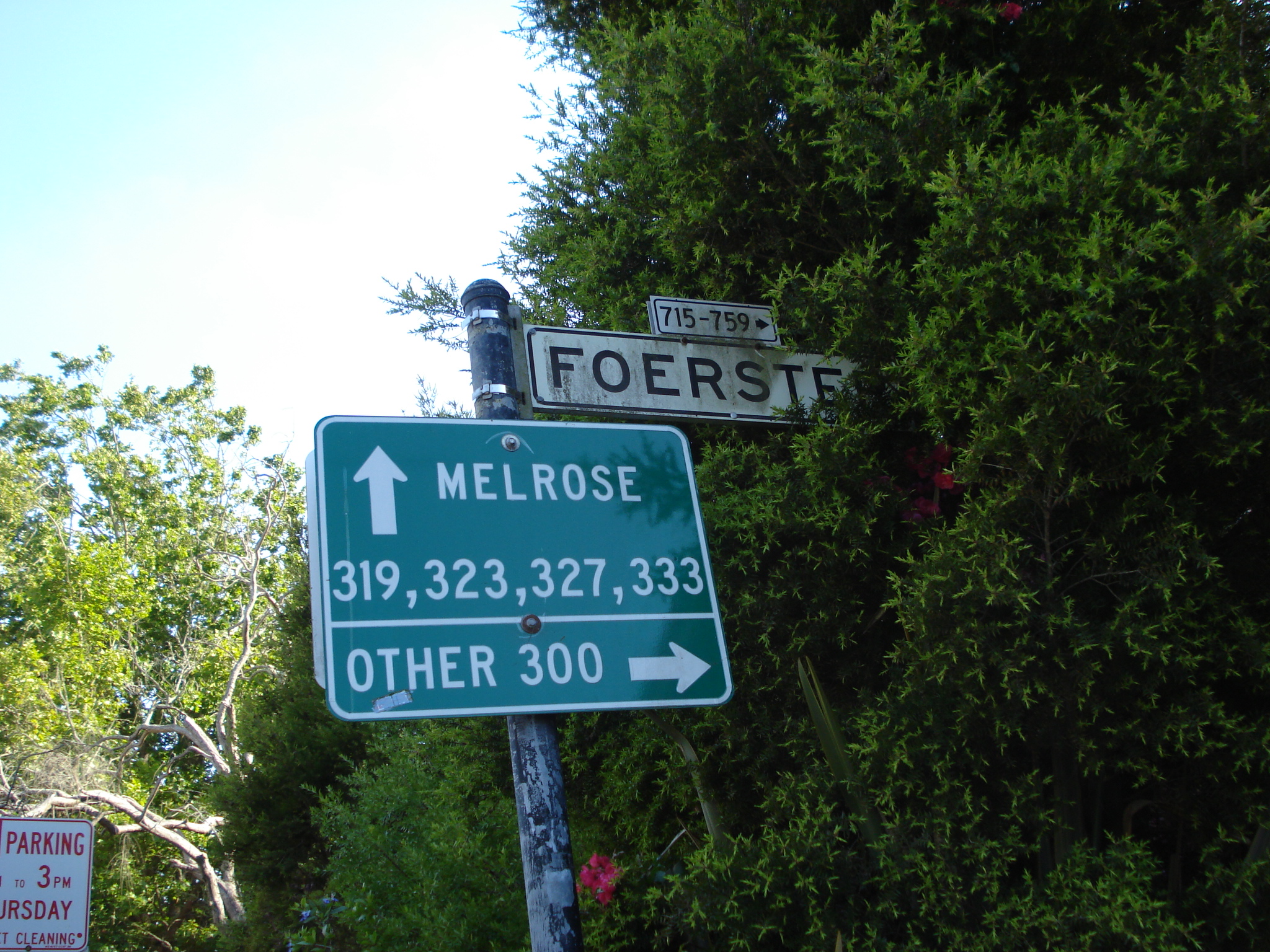 a road sign for the corner of a forest