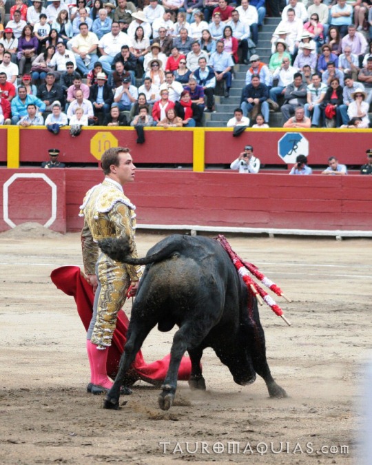 the man in a spanish costume is standing by a bull