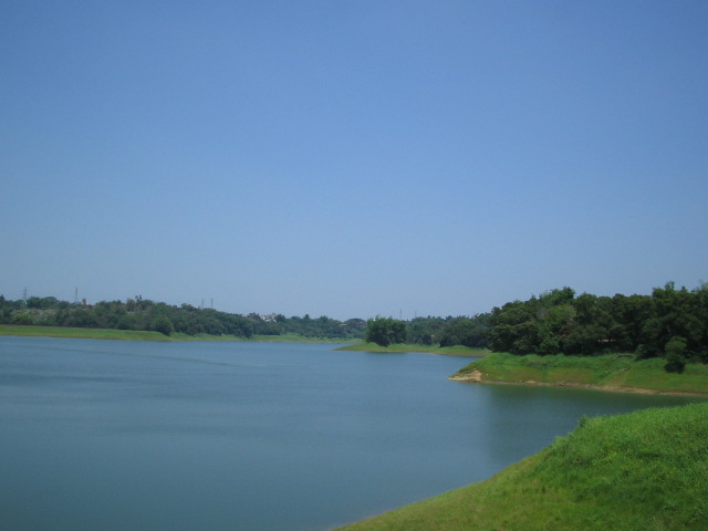 a view of the water in a green park
