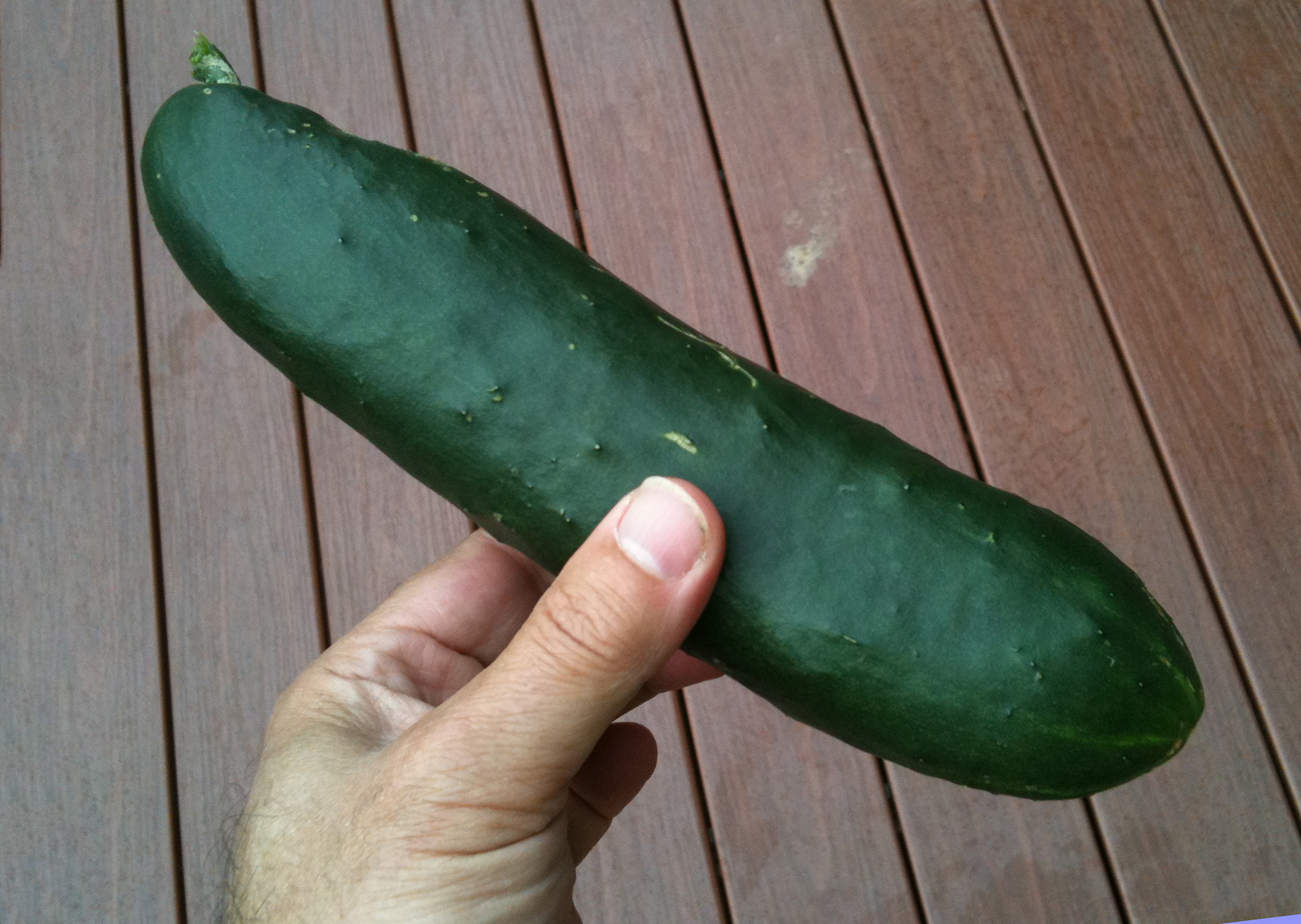 a hand holding a green cucumber over a deck