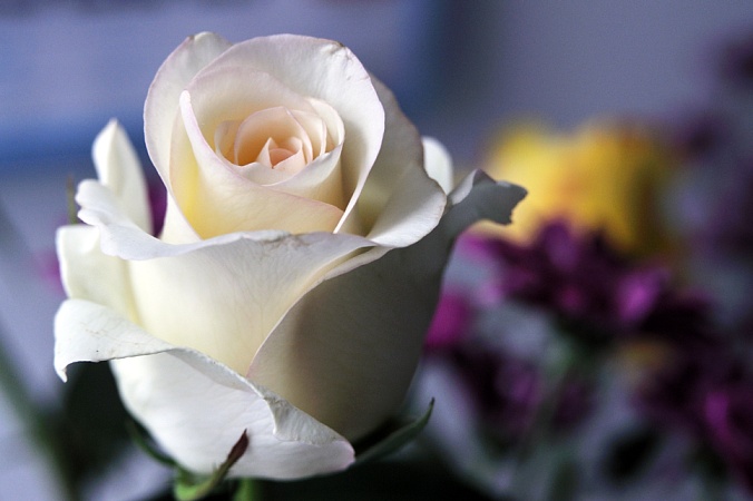 a white rose sitting in the middle of a vase filled with flowers