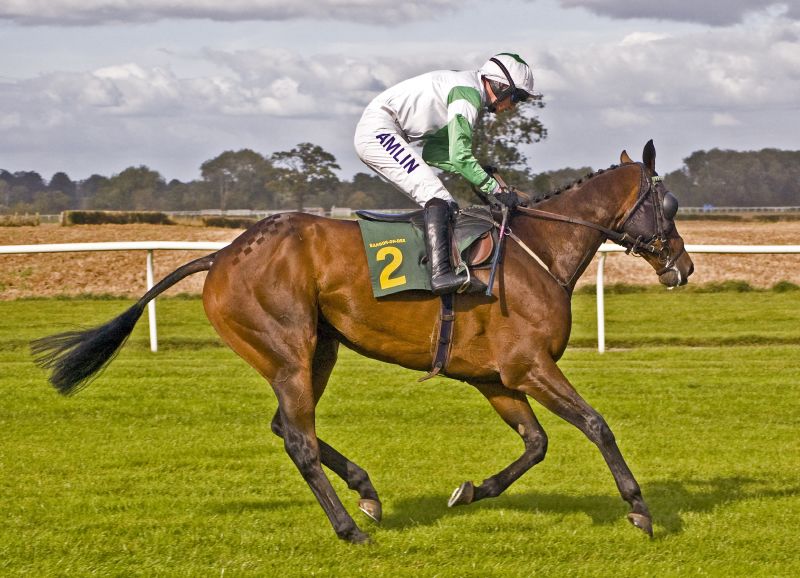 jockey riding a horse across a field on the course