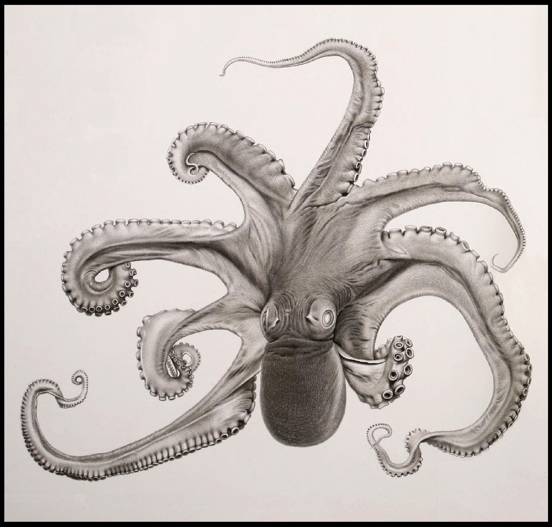 a drawing of an octo with its mouth open