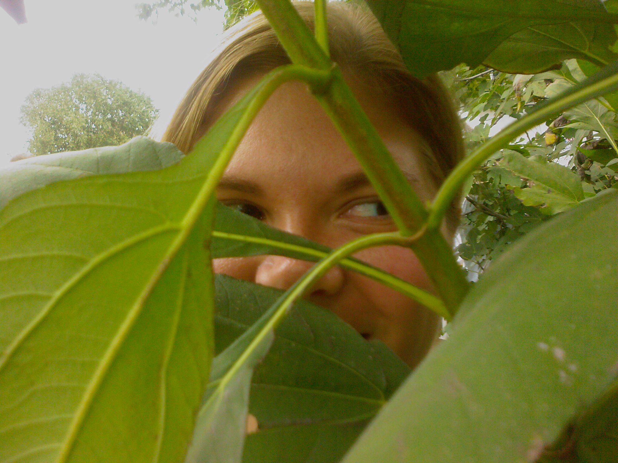 there is a woman peeking through the leaves