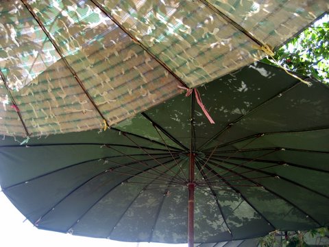a picture of two open umbrellas in a green field