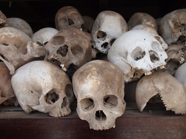 a large pile of skulls on display for sale