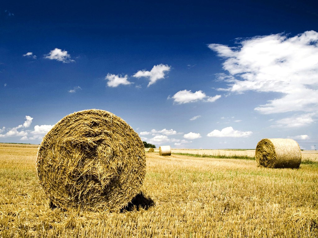 two bales of hay in an open field