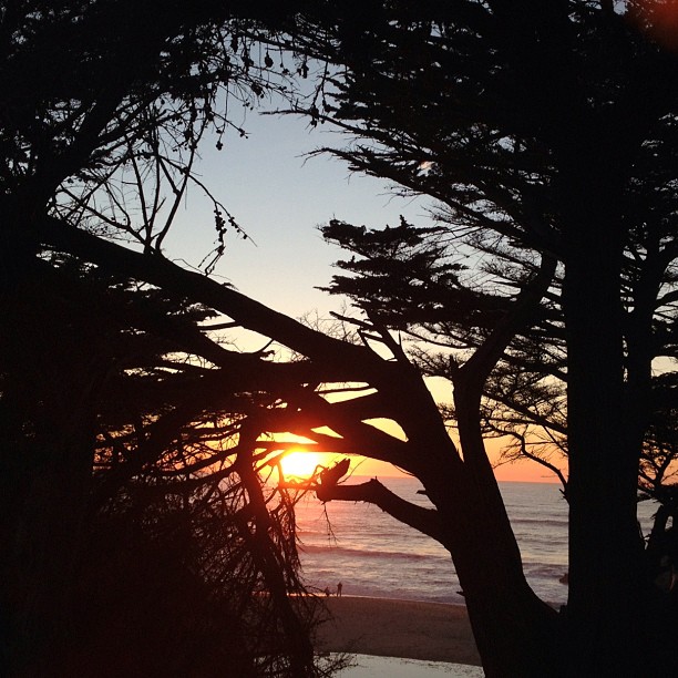 the sun sets over the beach behind some trees