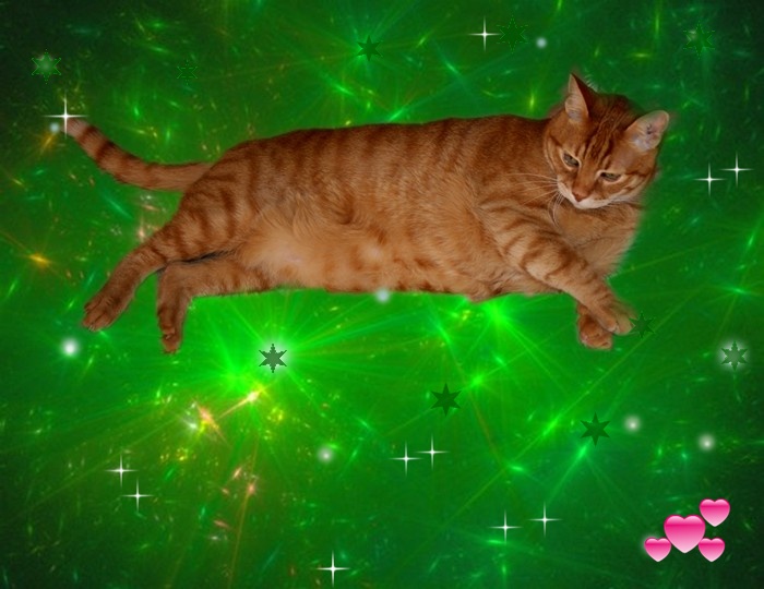 a cat sleeping on top of a green background
