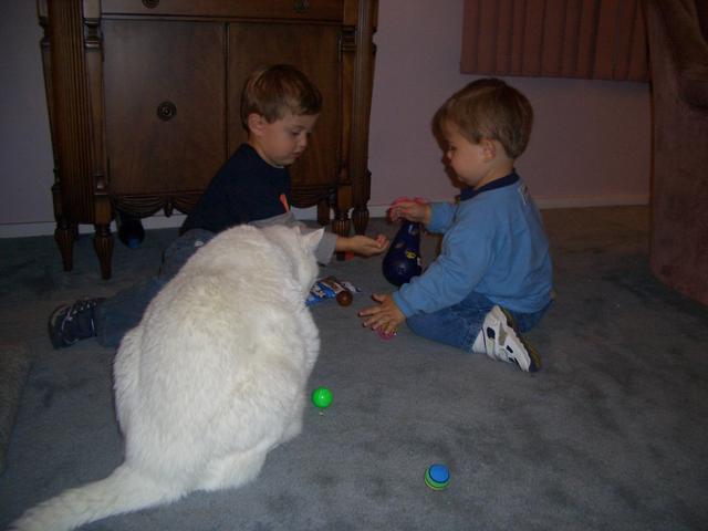 a white cat sitting on the floor next to two small children
