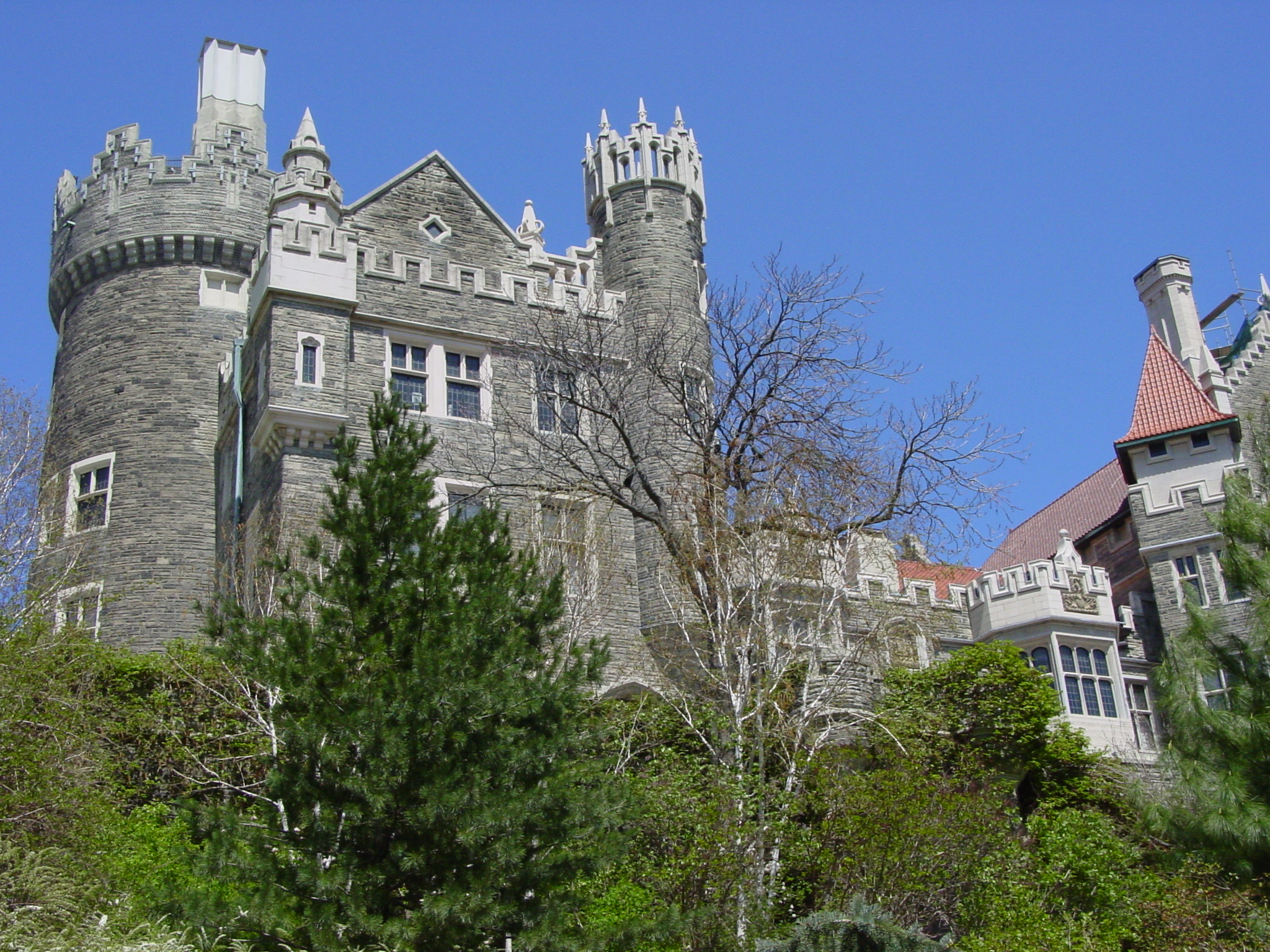 a castle with trees and bushes surrounding it