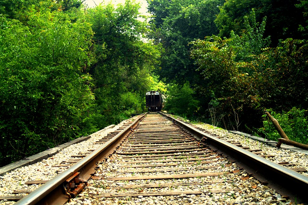 this is a train that is going down the track