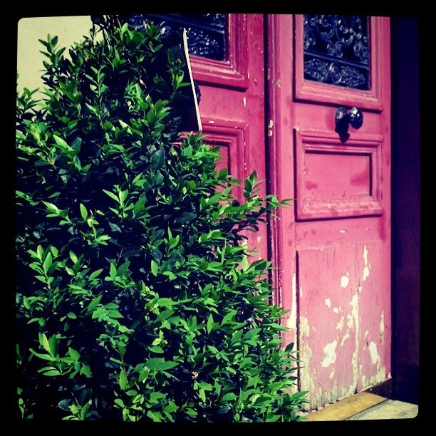 a close up of a tree and door of a building