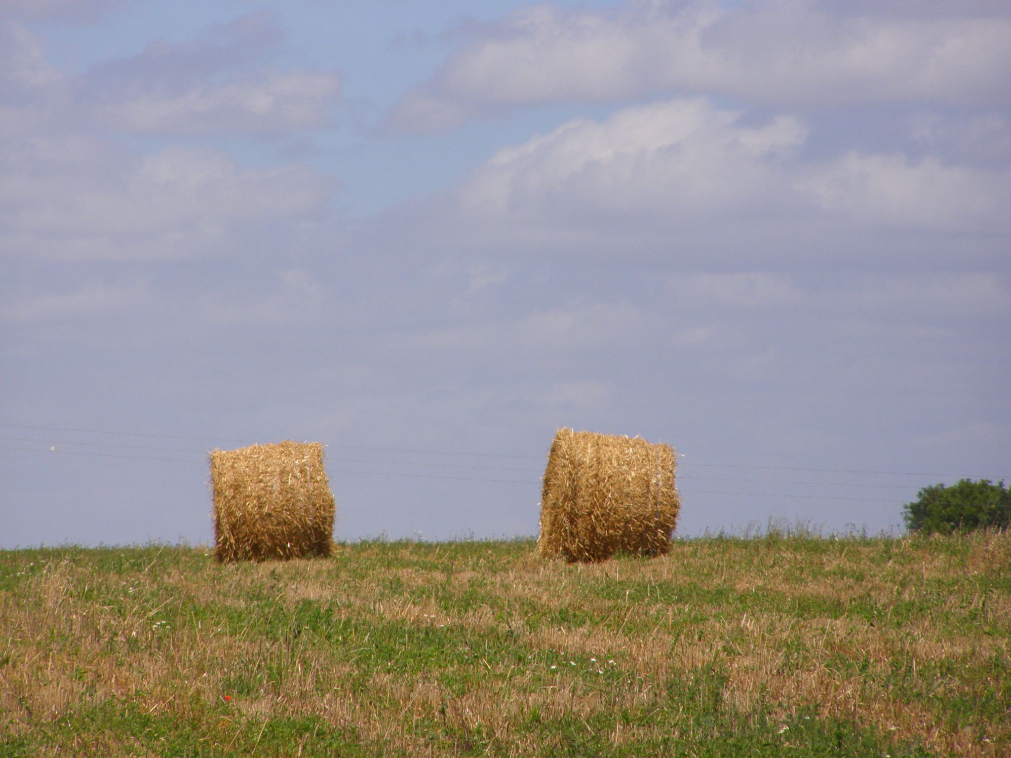 a field with two round hay bales in the middle