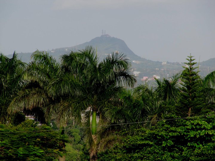 a mountain is seen behind palm trees