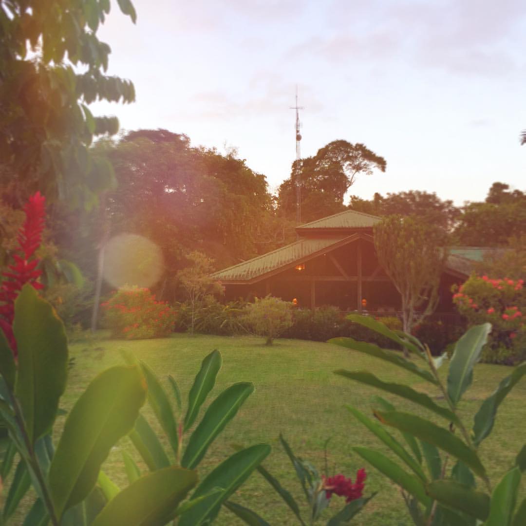 there is a building with a light on and many trees and flowers