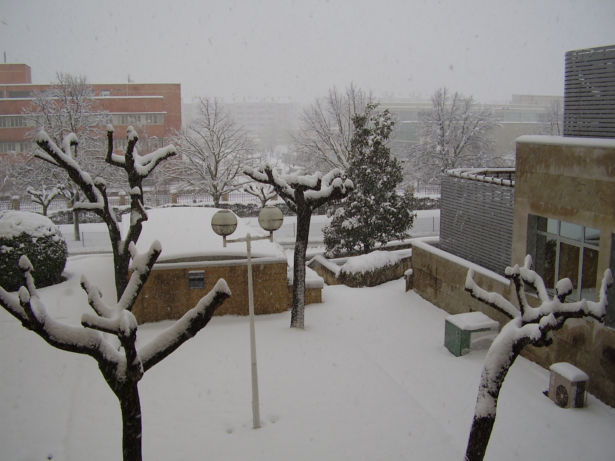 snowy view of building and trees from walkway