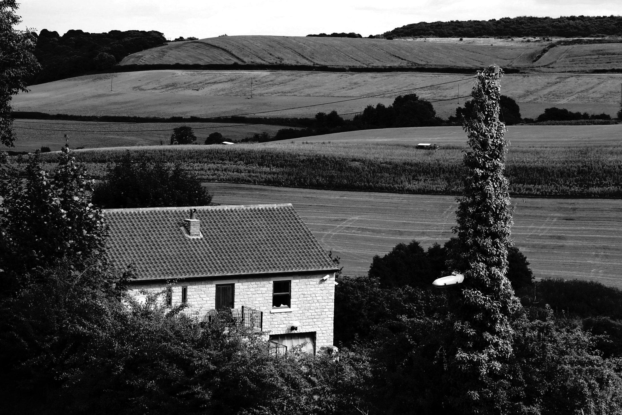 a house and trees is near some fields