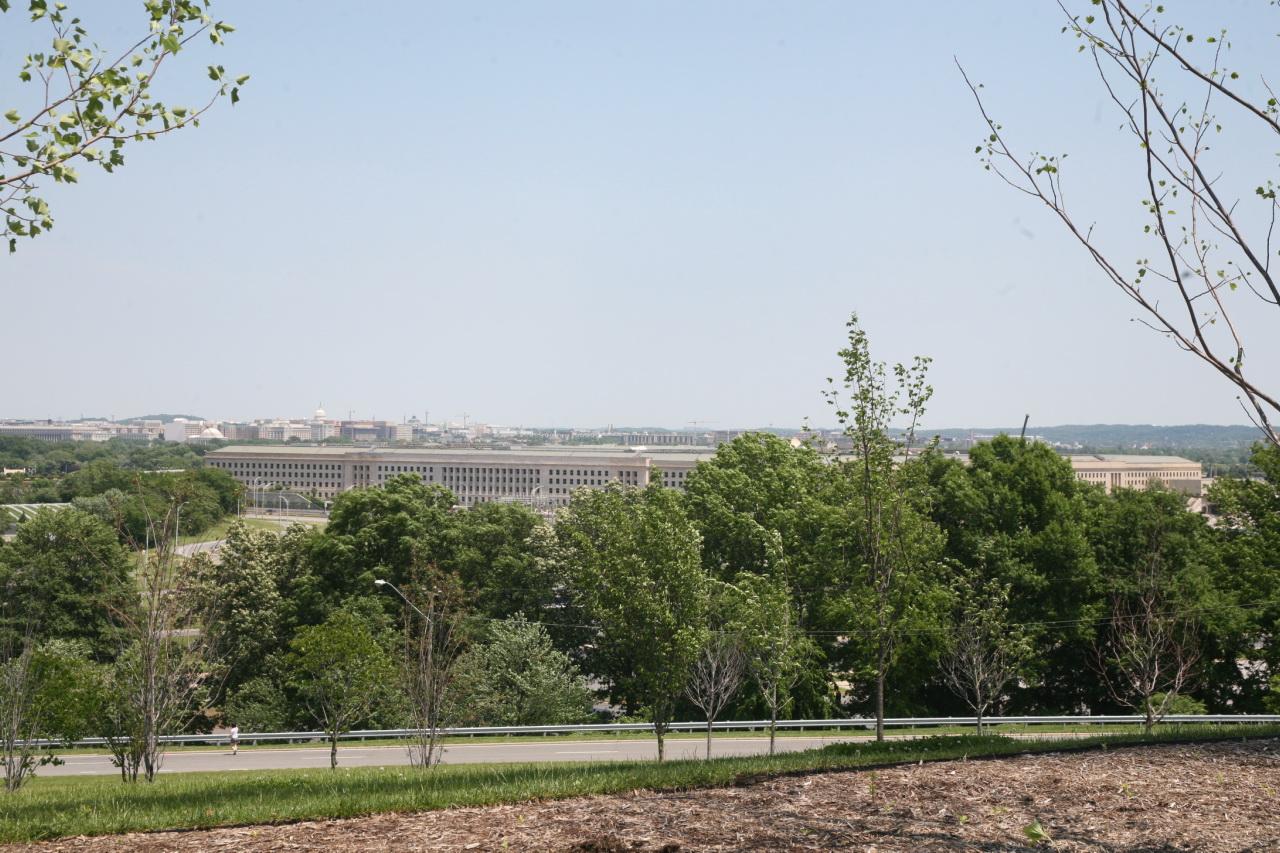 view of a forest in the distance with a big building in the background