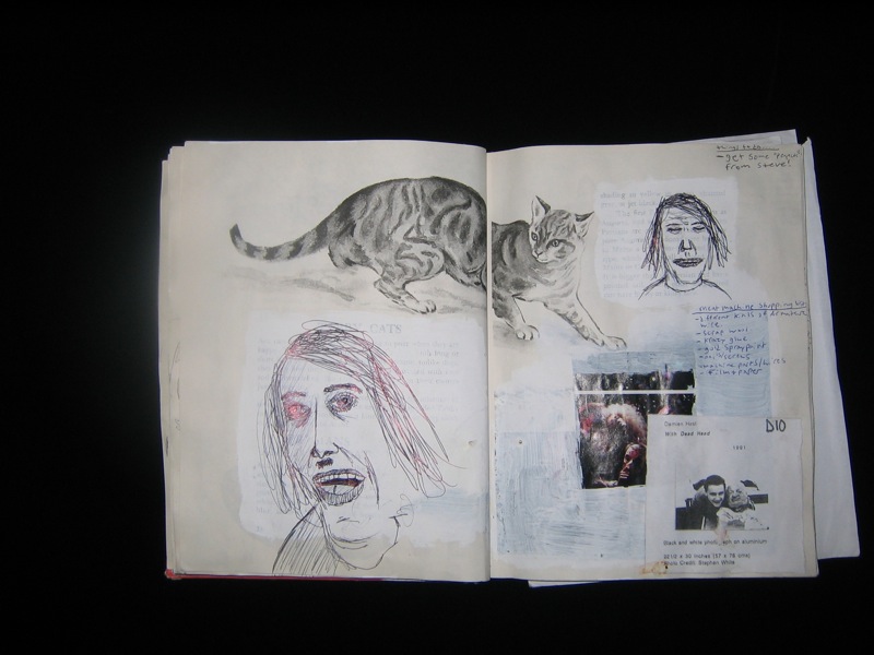 a drawing of a cat and woman and cat on a page