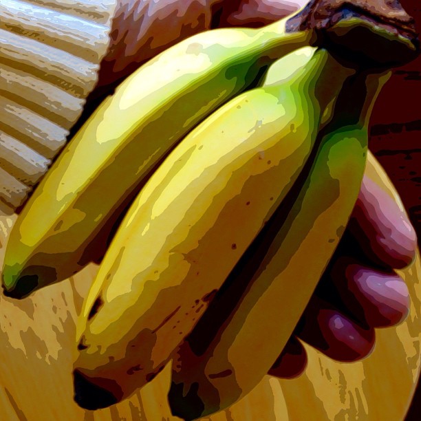 two green and yellow bananas with brown trim