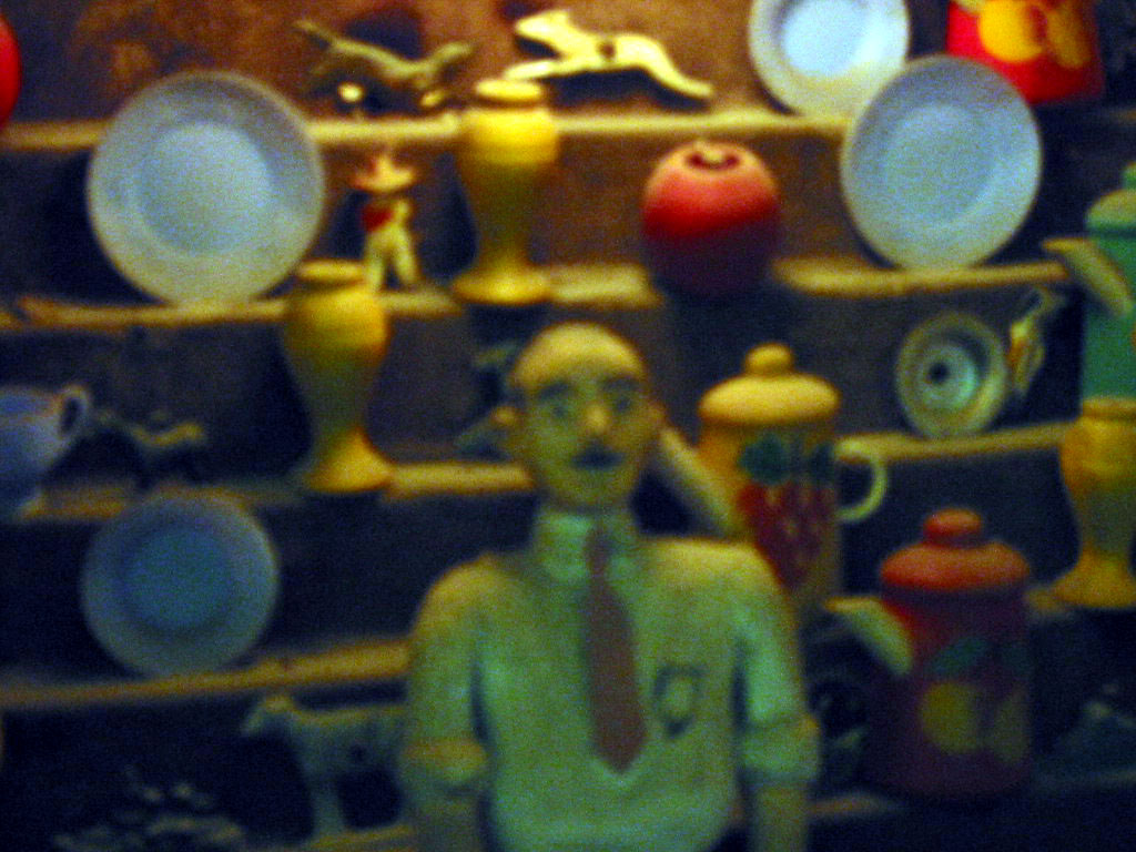 a woman standing in front of a display of plates
