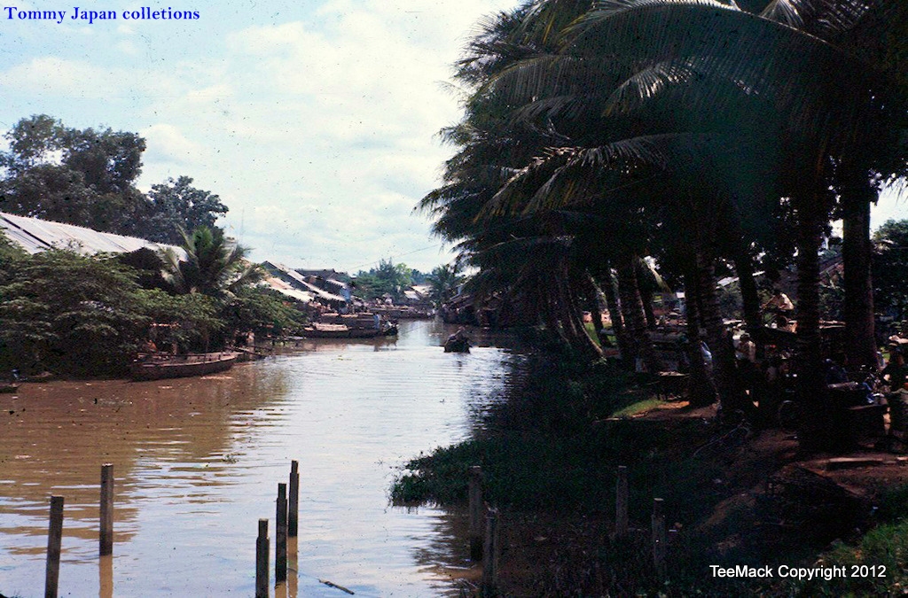 view from water to town, palm trees lining the edge