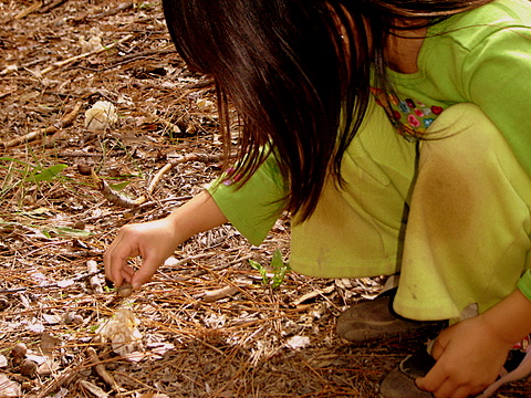 a small child is feeding a piece of fruit