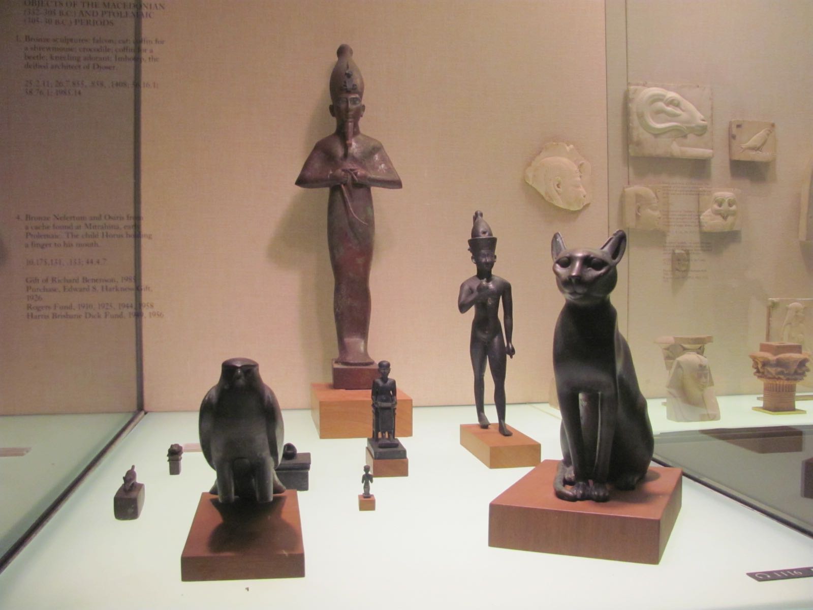 a number of artifacts on display in a case