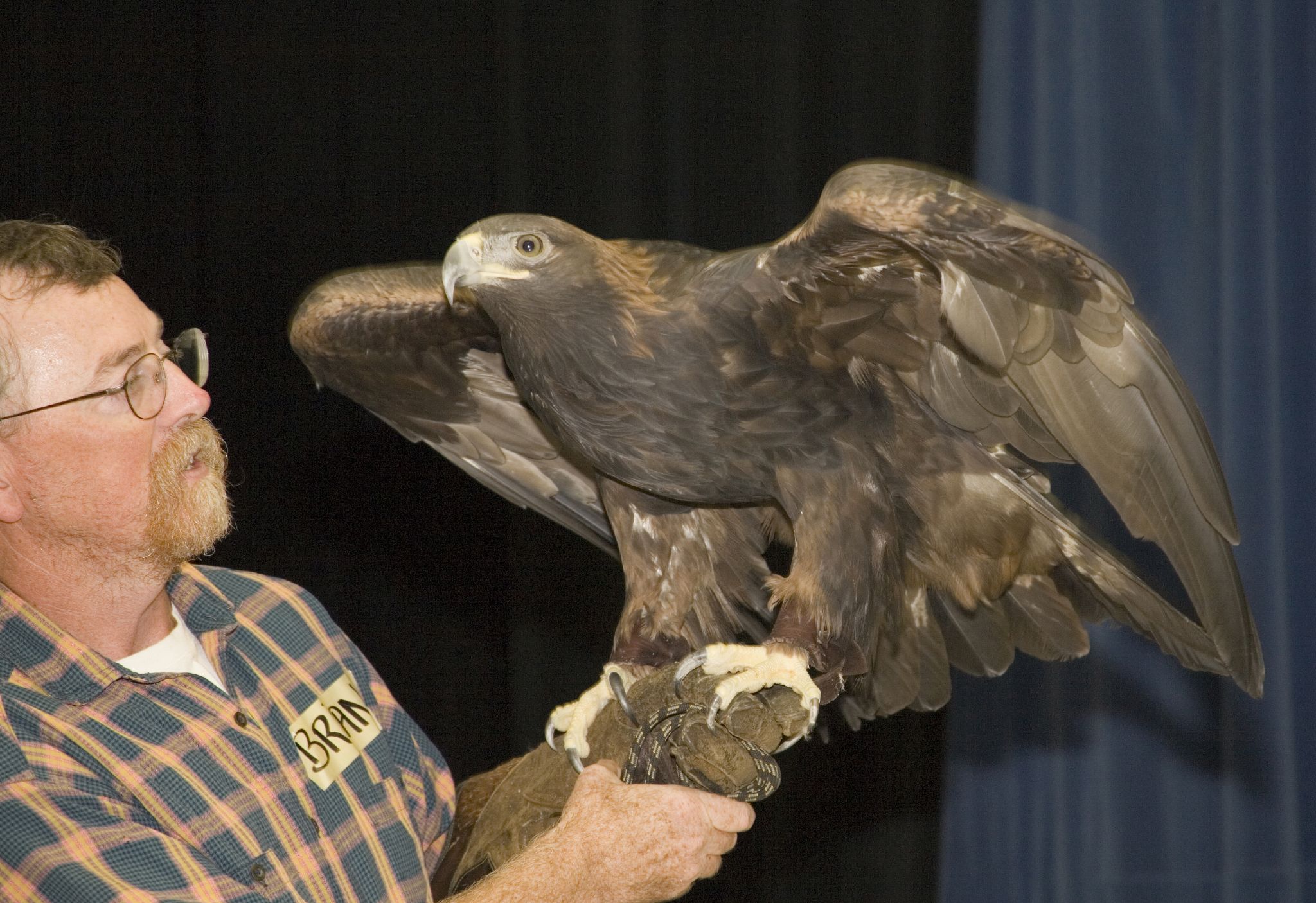 the bird has its beak on the man's arm