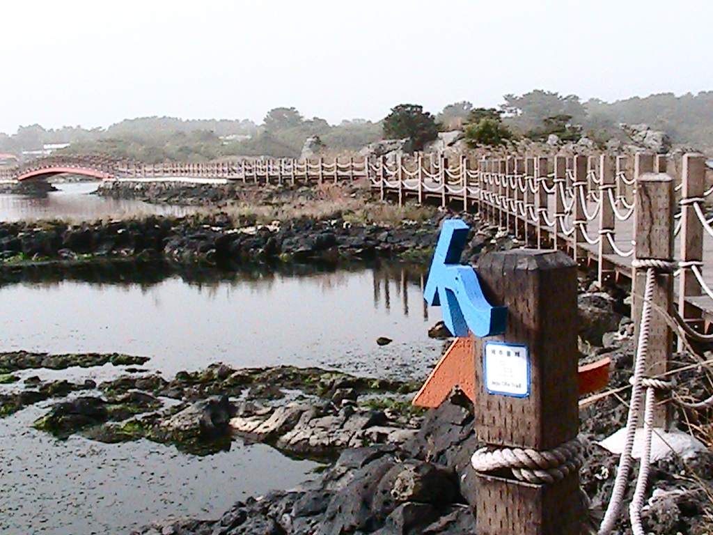 an old, wooden bridge spans the waters and into the woods