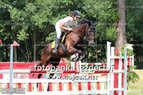 a person jumping a brown horse over an obstacle