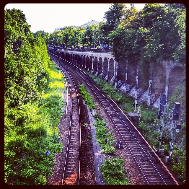 a view of a large railroad track running through the woods