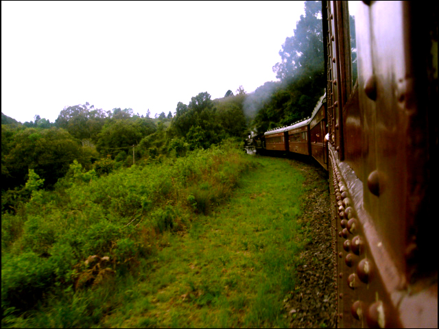 a train is traveling in the middle of the green countryside