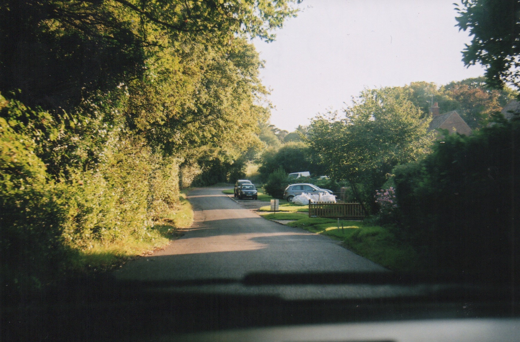 two cars driving down a road next to trees