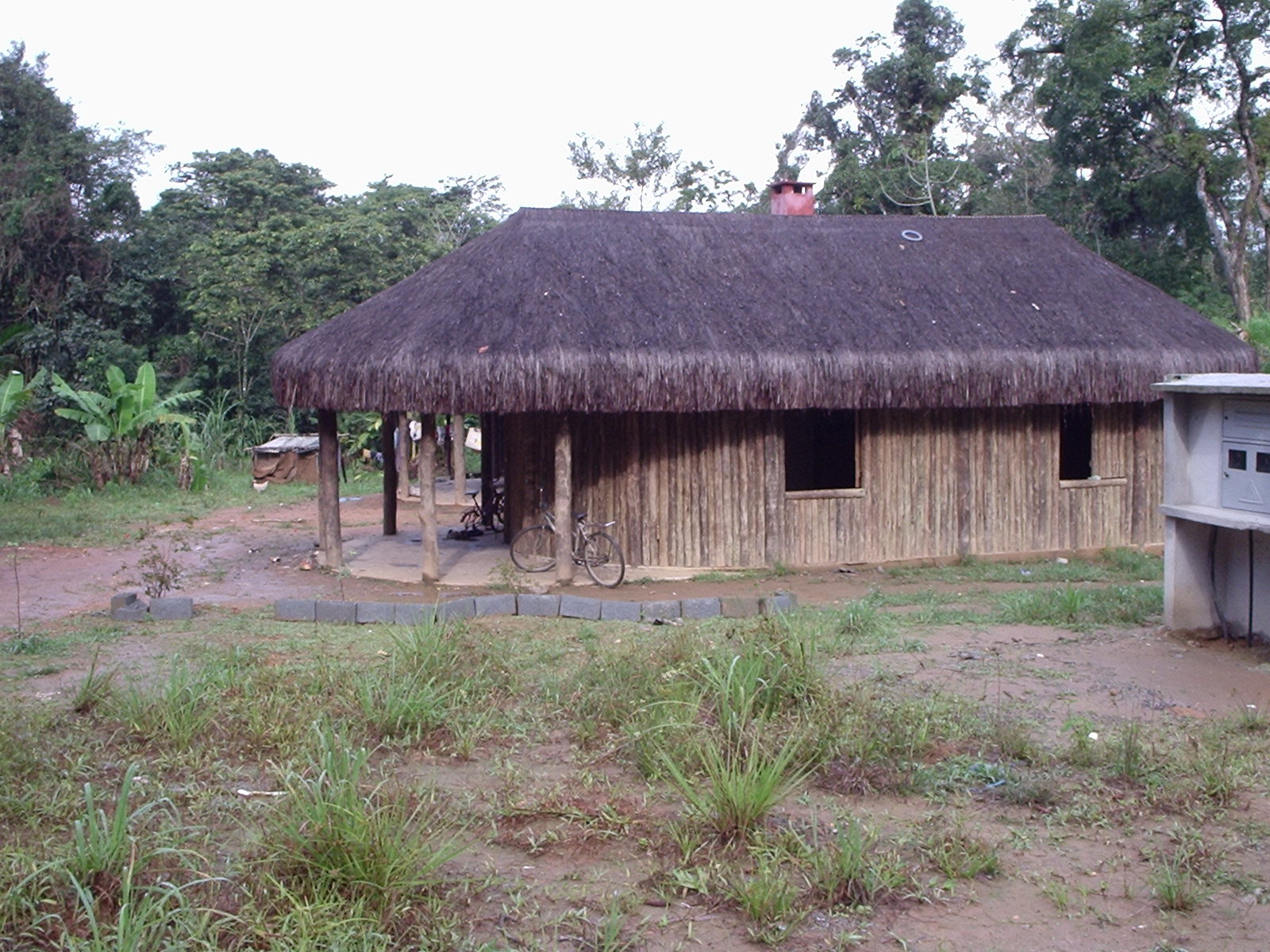 small hut with wood siding and grass roof in front of trees