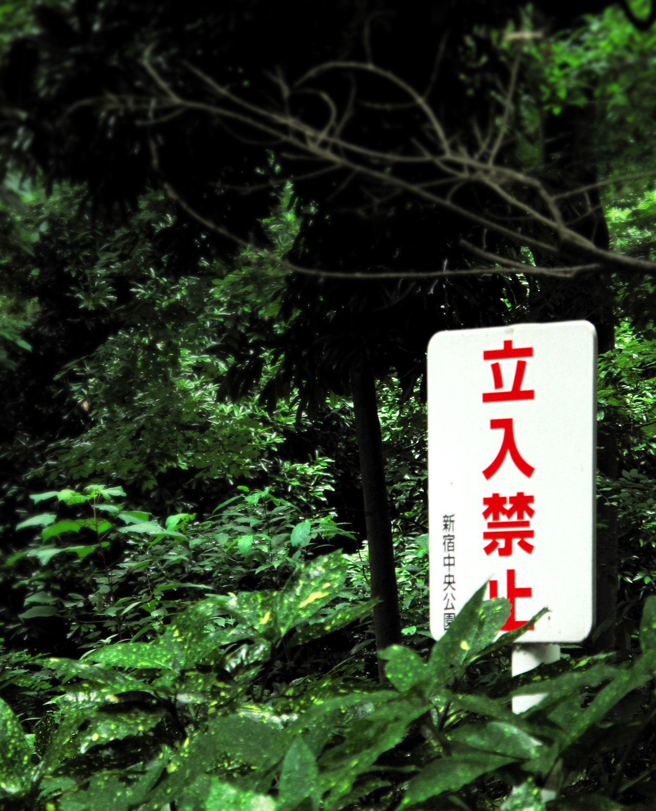 a sign with the words in japanese written in english