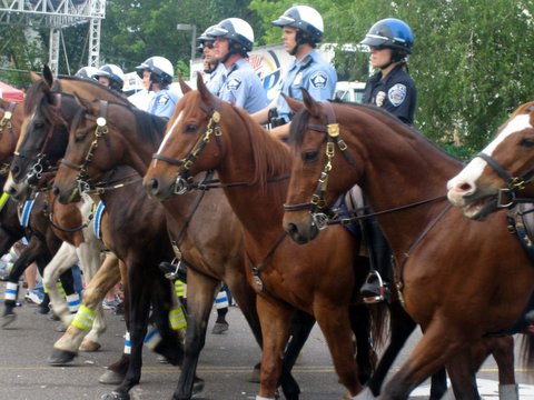 a line of police officers riding on the back of horses